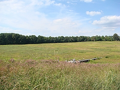 077 Longwood Gardens [2008 August 23]
